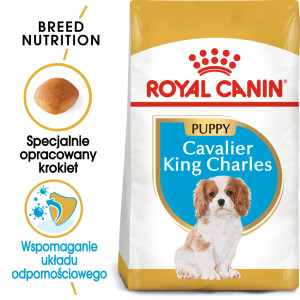 ROYAL CANIN Cavalier King Charles Puppy karma sucha dla szczeniąt do 10 miesiąca, rasy cavalier king charles spaniel 2x 1,5kg