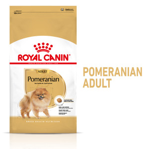 ROYAL CANIN Pomeranian Adult karma sucha dla psów dorosłych rasy szpic miniaturowy 500g