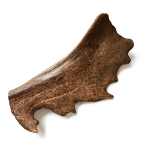 RECOSNACK Fallow deer antler/ gryzak z poroża daniela Rozmiar L - ok 151-225 g