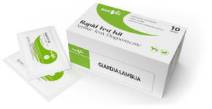 TOOLVET Test diagnostyczny GIARDIA LAMBLIA