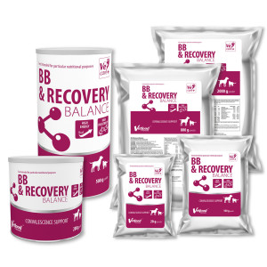 VETFOOD BB & Recovery Balance 500 g