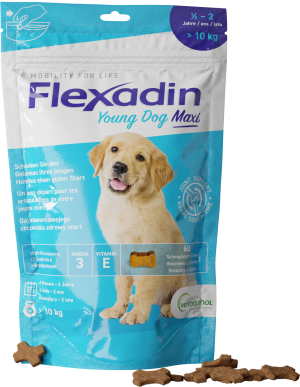 VETOQUINOL Flexadin Young Dog Maxi 60 kąsków