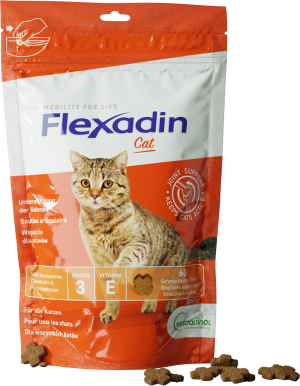 VETOQUINOL Flexadin Cat 60 kąsków