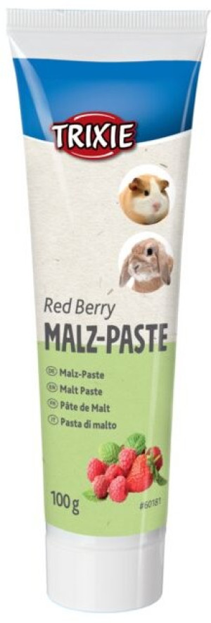 TRIXIE Pasta ze słodem i owocami dla gryzoni 100g