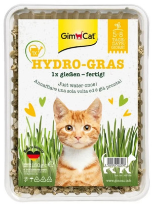 GIMCAT Hydro-Gras trawa dla kotów 150g
