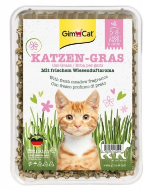 GIMCAT Katzen-Gras trawa dla kotów 150g