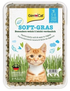 GIMCAT Soft Gras Miękka trawa dla kotów 100g