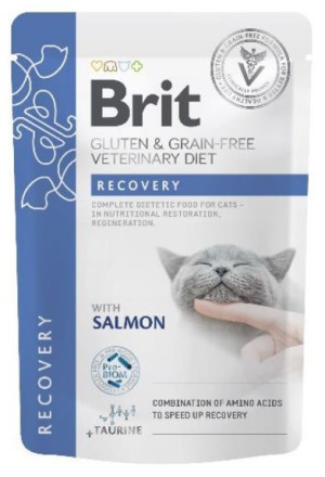 BRIT Veterinary Diets Cat Pouches Fillets in Gravy Recovery 85g