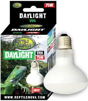 REPTILE NOVA Żarówka Grzewcza Uva - Reptile Nova Daylight 75W