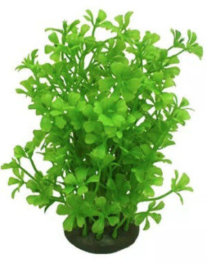 AQUAEL Roślina Kępkowa  Cp-057 6 (15 cm)