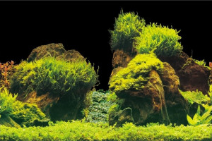 AQUA NOVA Tło do akwarium S (60 x 30 cm) - Rock/Plants
