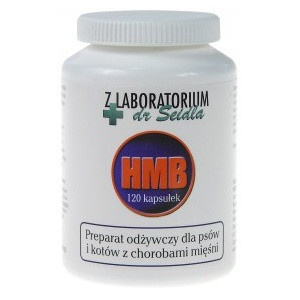 DR SEIDEL HMB 60 kaps. + 20% GRATIS