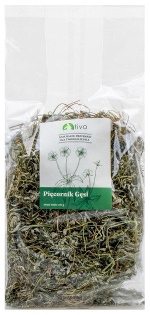 TIVO Pięciornik gęsi 100g