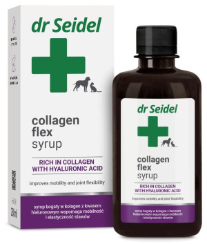 DR SEIDEL Collagen Flex Syrup 250ml