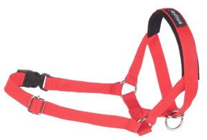 AMIPLAY Halter Basic - Czerwony XXL