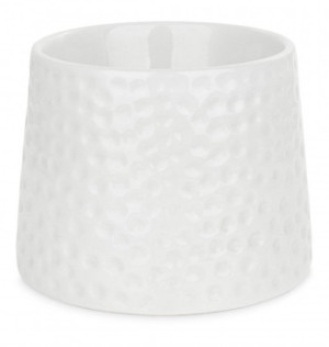 BARRY KING Miska ceramiczna dla kota podwyższona 11 cm - biała