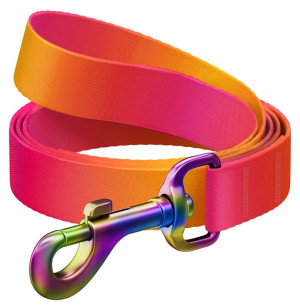 WAUDOG Nylon Recycled smycz nylonowa gradient pomarańczowa  L-XXL