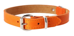 DINGO Obroża skórzana Boutique - Orange 2,0 x 50cm