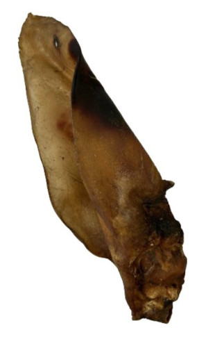 SNACK STAR Uszy wołowe ciemne z małżowiną 50-60g - 20 cm