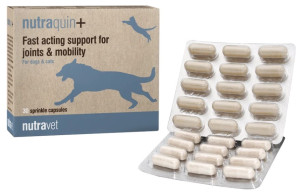 NUTRAVET Nutraquin plus dla psów i kotów 30 kaps.