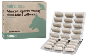 NUTRAVET Nutraplaque dla psów i kotów 60 kaps.