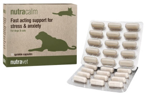 NUTRAVET Nutracalm dla psów i kotów 15 kaps.