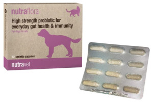 NUTRAVET Nutraflora dla psów i kotów 12 kaps.