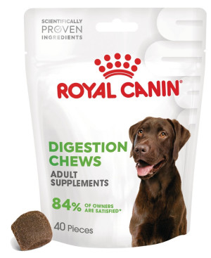 ROYAL CANIN Supplements Digestion Adult Dog 160g