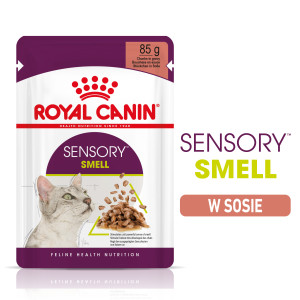 ROYAL CANIN Sensory Smell karma mokra - kawałki w sosie dla kotów dorosłych, pobudzająca wrażenia węchowe 12x 85g