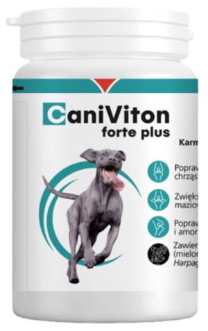 VETOQUINOL Caniviton Forte Plus 90tabl.
