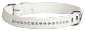 DINGO Obroża Glamour szer. 14 mm x 25 cm - biała