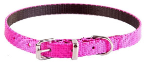 DINGO Obroża Energy - różowa 1,2cm x 45cm (33-40cm)