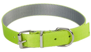 DINGO Obroża Energy Silver  (1,6 x 45 cm) - zielono/szara