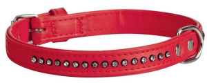 DINGO Obroża Glamour  szer. 16 mm x 35 cm -  czerwona