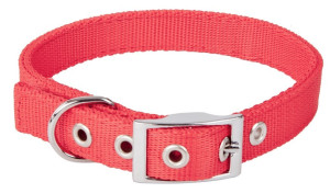 DINGO Obroża Extra z taśmy - czerwona 2,0cm x 45cm (28-36cm)