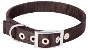 DINGO Obroża Extra z taśmy - czarna 2,0cm x 45cm (28-36cm)