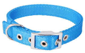 DINGO Obroża Extra z taśmy - niebieska 2,0cm x 45cm (28-36cm)