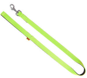 DINGO Smycz pojedyncza Energy - zielona 1,6cm x 120cm