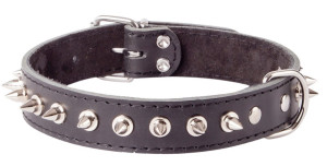 DINGO Obroża skórzana z kolcami - czarna 3cm x 55cm (44-49cm)