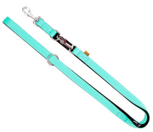 DINGO Smycz przedłużana Extra Energy - miętowa 2cm x 220cm