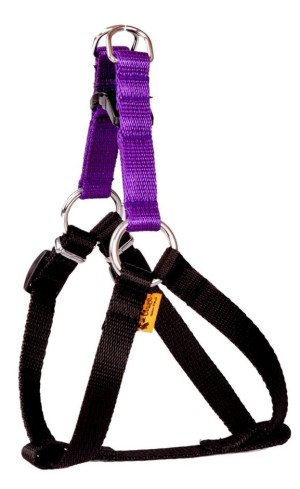 DINGO Szelki Fred Energy - fioletowe Rozm. 40