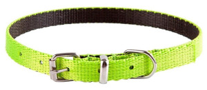 DINGO Obroża Energy - zielona 1,2cm x 40cm (28-35cm)