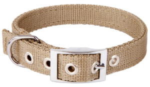 DINGO Obroża Extra z taśmy - khaki 2,0cm x 45cm (28-36cm)