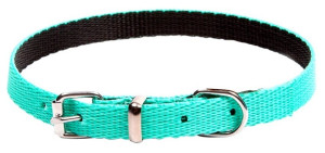 DINGO Obroża Energy - miętowa 1,2cm x 45 cm (33-40cm)