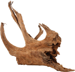 ZOLUX Ozdoba do akwarium korzeń Mangrowca 40-60 cm