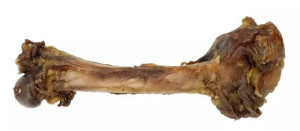 ONERS Kość z Dzika Mała (15-20cm)