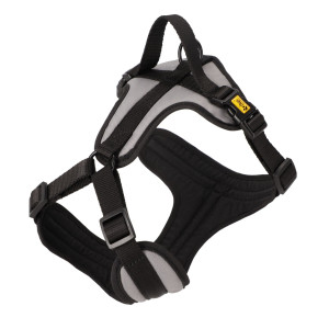 DINGO Szelki Active - Aspen XS