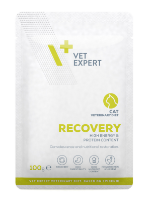 VETEXPERT 4T Vet. Diet Recovery Cat 100g