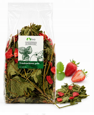 TIVO Truskawkowe pole - liść truskawki 100g